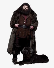 04hagrid Ca Hpe6 - Happy Birthday Harry Potter Hagrid, HD Png Download, Free Download
