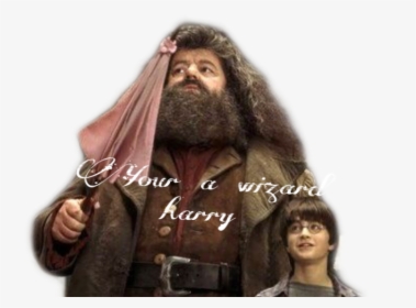 Hagrids Pink Umbrella - Harry Potter 1 With Hagrid, HD Png Download, Free Download