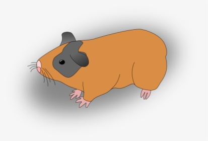 Hamster Clipart Guinea Pig - Guinea Pig, HD Png Download, Free Download