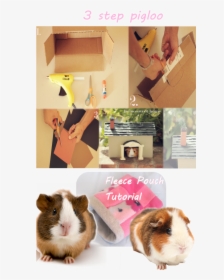 What Guinea Pig Wouldn"t Want Their Very Own Homemade - Guinea Pig, HD Png Download, Free Download