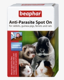 Anti-parasite Spot On Rabbit/guinea Pig/ferret/rat - Beaphar Anti Parasite Spot, HD Png Download, Free Download