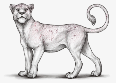 Kind Pose Lioden, HD Png Download, Free Download