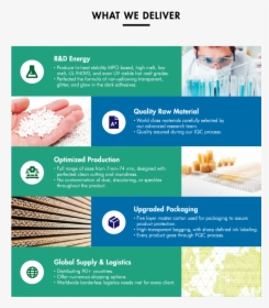 Flyer, HD Png Download, Free Download