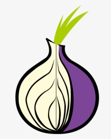 Onion Tor, HD Png Download, Free Download
