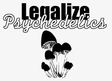 Why We Should Decriminalize Psilocybin, HD Png Download, Free Download