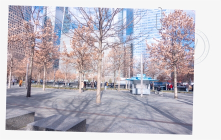 One World Trade Center Memorial Nyc New York Nondys - Tree, HD Png Download, Free Download