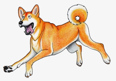 Shibe Drawing Pencil - Cartoon New Guinea Singing Dog, HD Png Download, Free Download