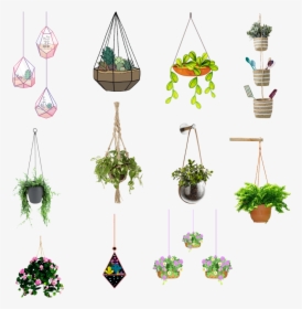 #hangingplants #hanging #plants - Illustration, HD Png Download, Free Download