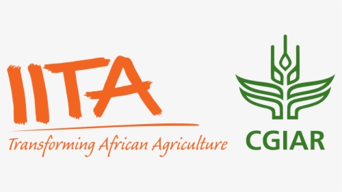 Iita Cgiar, HD Png Download, Free Download