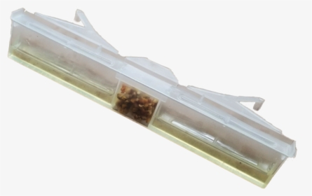 Foxhound Beetle Jail Pollen - Gun Barrel, HD Png Download, Free Download