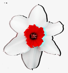 Flower Holga White Red Abstract Freetoedit - Artificial Flower, HD Png Download, Free Download
