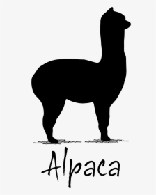 Eat Black And White Clipart - Logo De Alpaca Png, Transparent Png, Free Download