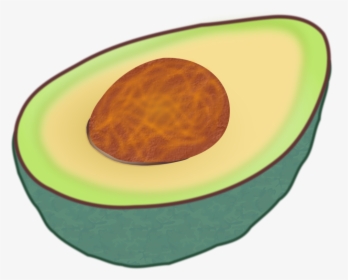 Transparent Avacado Clipart - Avocado Clip Art, HD Png Download, Free Download