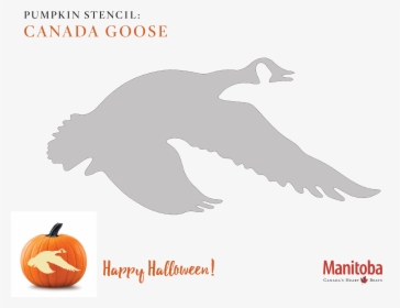 Canadian Goose Pumpkin Carving Stencil - Goose Pumpkin Carving Patterns, HD Png Download, Free Download