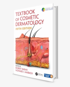 Skin Anatomy, HD Png Download, Free Download