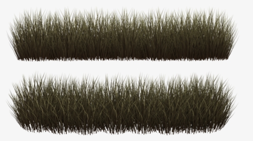 Thumb Image - Transparent Grass Brush Png, Png Download, Free Download