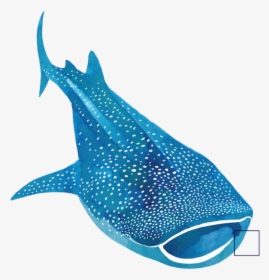 Whalesharktile53, HD Png Download, Free Download