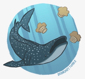 Dory Clipart Whale Shark - Sharks, HD Png Download, Free Download