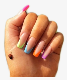 #nails #rainbow #ladybug #pngs #sticker #png - Nail Polish, Transparent Png, Free Download