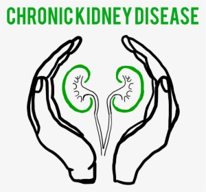 Chronic Kidney Disease Logo, HD Png Download, Free Download