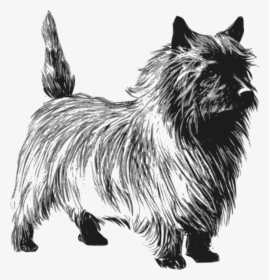 Dog Svg Clip Arts - Draw A Cairn Terrier, HD Png Download, Free Download