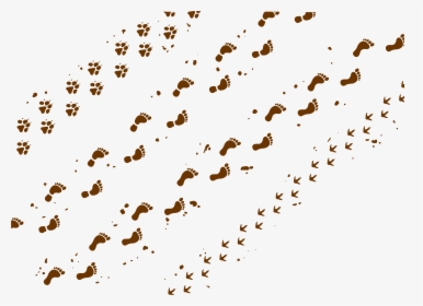 Transparent Background Clipart Muddy Paw Print, HD Png Download, Free Download