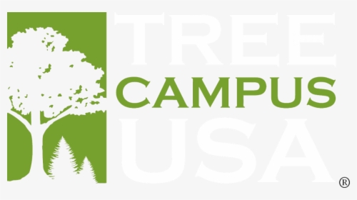 Tree Campus Usa, HD Png Download, Free Download