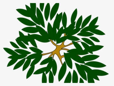 Transparent Tree Top View Png - Tree Top View Clipart, Png Download, Free Download
