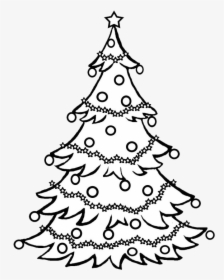 Pine Tree Clipart Black And White / Christmas Tree - Sketch Of Christmas Tree, HD Png Download, Free Download