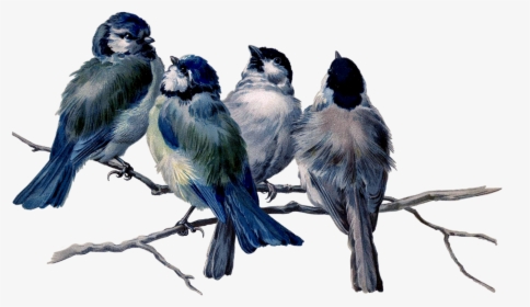 Mq Blue Birds Bird Flying Animal - Bird Branches Vintage Painting, HD Png Download, Free Download