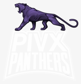 Roaring Panther Logo Clipart , Png Download - Female Lion Png Black, Transparent Png, Free Download