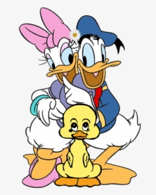 #donaldduck #daisyduck #uglyduckling Donald & Daisy - Donald Duck And Daisy Png, Transparent Png, Free Download