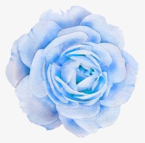 #flower #flowers #nature #blue #rose - Transparent Png Aesthetic Rose, Png Download, Free Download