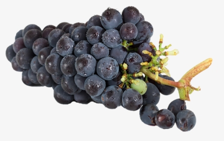 Grape Jelly - Long Do Grapes Last In The Fridge, HD Png Download, Free Download