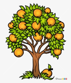 How To Draw An Orange Tree With How To Draw Orange - Easy Drawings Of Trees With Leaves, HD Png Download, Free Download