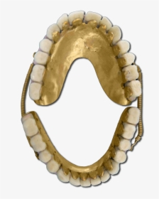 Transparent Gold Teeth Png - Throat, Png Download, Free Download