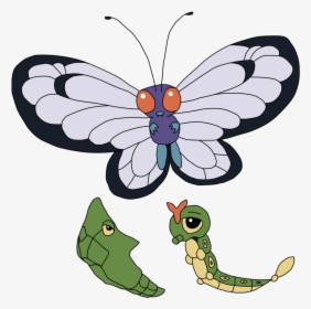 Caterpie , Png Download - Caterpie Evolution, Transparent Png, Free Download