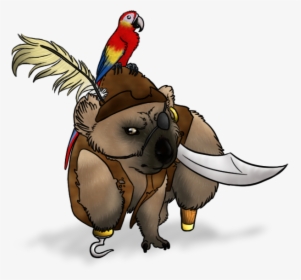 Wombat Pirate - Moriarty - Macaw, HD Png Download, Free Download
