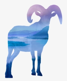 Argali, HD Png Download, Free Download