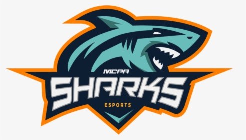 Team-logo - Tampa Bay Sharks Logo, HD Png Download, Free Download