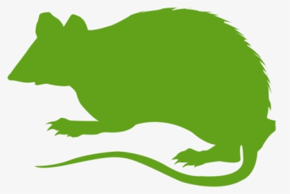 Pest Control Near Milwaukee, Wi - Rodent, HD Png Download, Free Download