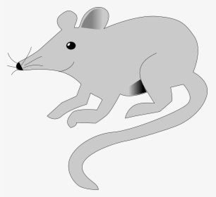 Easy Way To Draw Rats With A Colour, HD Png Download, Free Download