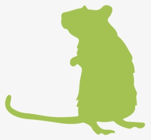 Fancy Rats » - Rat Silhouette, HD Png Download, Free Download