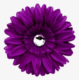Daisy Purple Png Image With Transparent Background - Purple Gerber Daisy Clipart, Png Download, Free Download