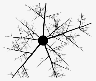 Twig Branch Abstract Art Tree Line Art - Abstract Point And Line Art, HD Png Download, Free Download