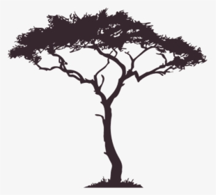 #tree #silhouette #shadow #nightime #surrealism #overlay - African Tree Clipart, HD Png Download, Free Download
