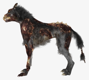 Transparent Zombie Dog Png - Zombie Dog Call Of Duty, Png Download, Free Download
