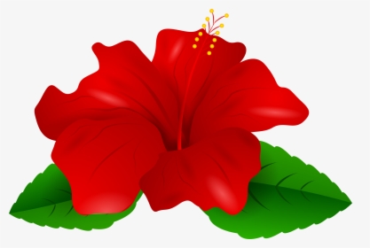 Red Hibiscus Png - Transparent Hibiscus Clipart, Png Download, Free Download