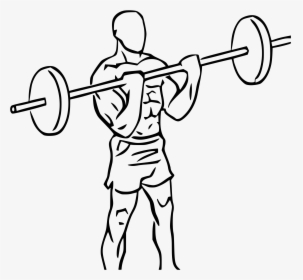 Transparent Weights Clipart - Cross Body Hammer Curl, HD Png Download, Free Download