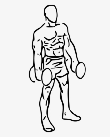Image Transparent Stock Bicep Drawing Male - Bicep Curl Clipart, HD Png Download, Free Download
